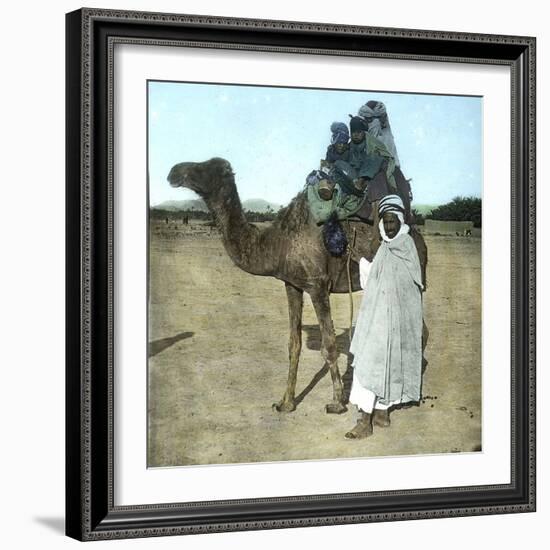 Arab Family on a Camel, Biskra (Algeria)-Leon, Levy et Fils-Framed Photographic Print