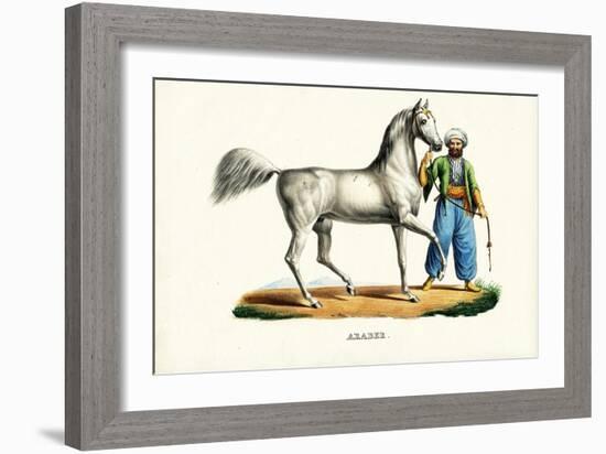 Arab Horse, 1824-Karl Joseph Brodtmann-Framed Giclee Print