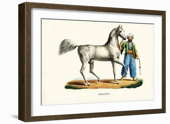 Arab Horse, 1824-Karl Joseph Brodtmann-Framed Giclee Print