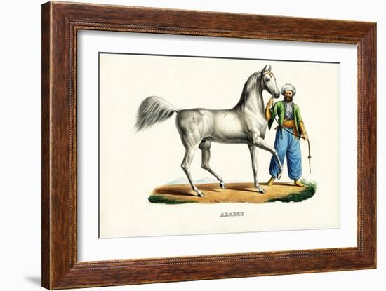 Arab Horse, 1824-Karl Joseph Brodtmann-Framed Giclee Print