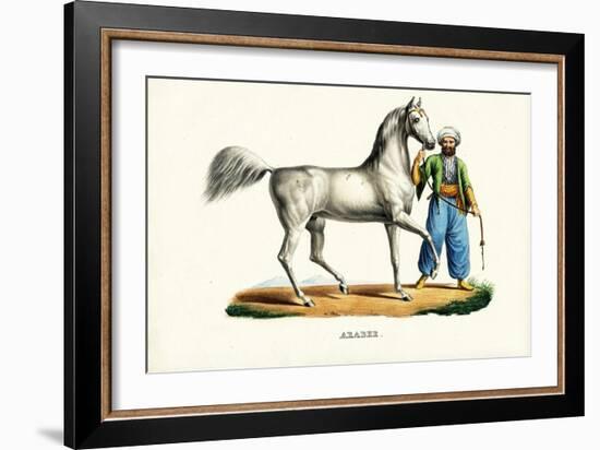 Arab Horse, 1824-Karl Joseph Brodtmann-Framed Giclee Print