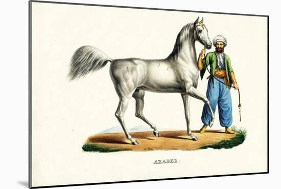 Arab Horse, 1824-Karl Joseph Brodtmann-Mounted Giclee Print