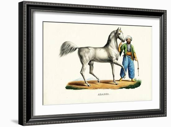 Arab Horse, 1824-Karl Joseph Brodtmann-Framed Giclee Print