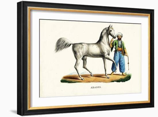 Arab Horse, 1824-Karl Joseph Brodtmann-Framed Giclee Print