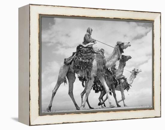 Arab Legionnaries Riding their Camels-John Phillips-Framed Premier Image Canvas