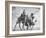 Arab Legionnaries Riding their Camels-John Phillips-Framed Photographic Print