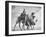 Arab Legionnaries Riding their Camels-John Phillips-Framed Photographic Print