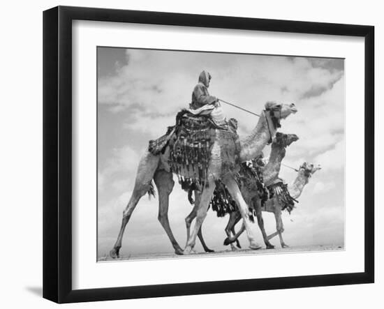 Arab Legionnaries Riding their Camels-John Phillips-Framed Photographic Print