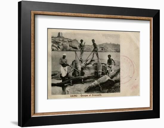 Arab Men with Crocodiles, Cairo, Egypt-null-Framed Photographic Print