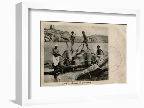 Arab Men with Crocodiles, Cairo, Egypt-null-Framed Photographic Print