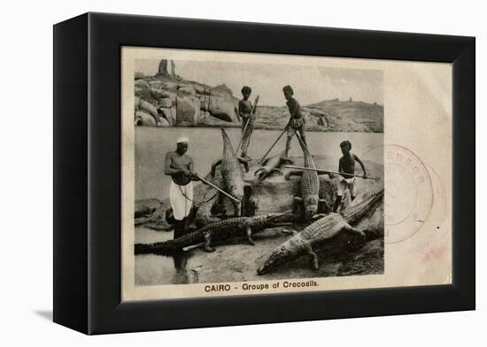 Arab Men with Crocodiles, Cairo, Egypt-null-Framed Premier Image Canvas