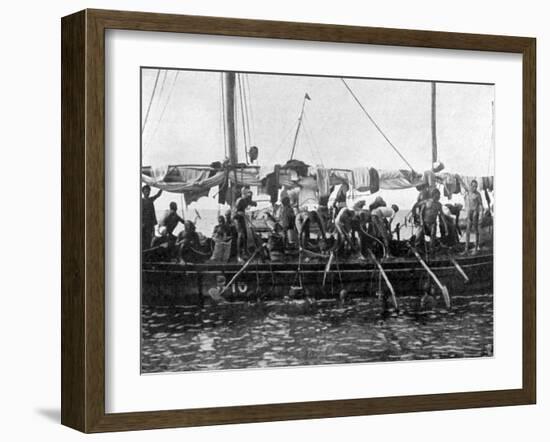 Arab Pearl Divers at Work, 1903-null-Framed Art Print