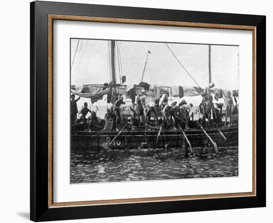 Arab Pearl Divers at Work, 1903-null-Framed Art Print