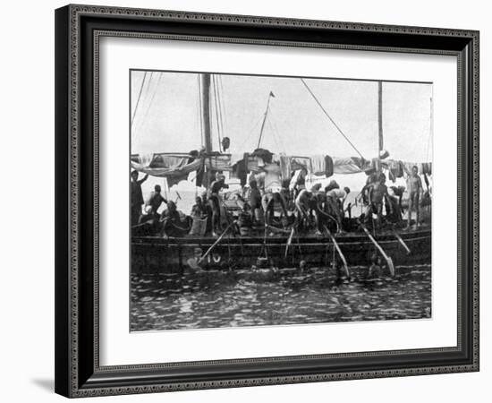 Arab Pearl Divers at Work, 1903-null-Framed Art Print