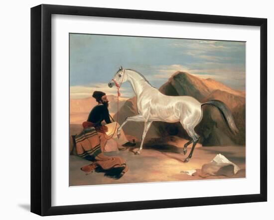 Arab Stallion-Edwin Henry Landseer-Framed Giclee Print