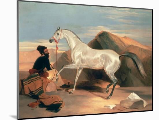 Arab Stallion-Edwin Henry Landseer-Mounted Giclee Print