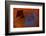 Arabesque-Doug Chinnery-Framed Photographic Print