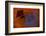 Arabesque-Doug Chinnery-Framed Photographic Print