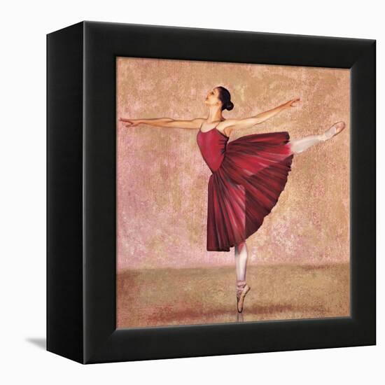 Arabesque-Andrea Bassetti-Framed Stretched Canvas