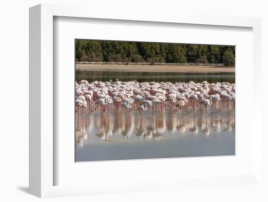 Arabia, Arabian Peninsula, the Persian Gulf-Udo Bernhart-Framed Photographic Print