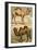 Arabian Camel and Bactrian Camel-English School-Framed Giclee Print