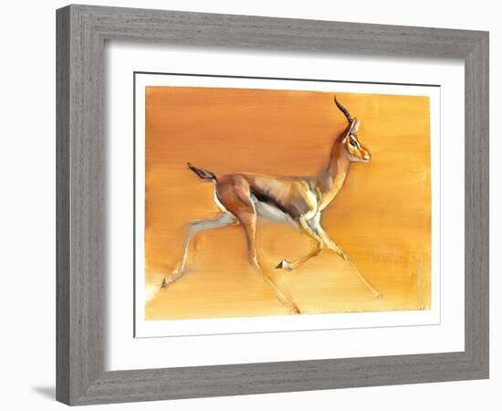 Arabian Gazelle, 2010-Mark Adlington-Framed Giclee Print