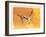 Arabian Gazelle, 2010-Mark Adlington-Framed Giclee Print