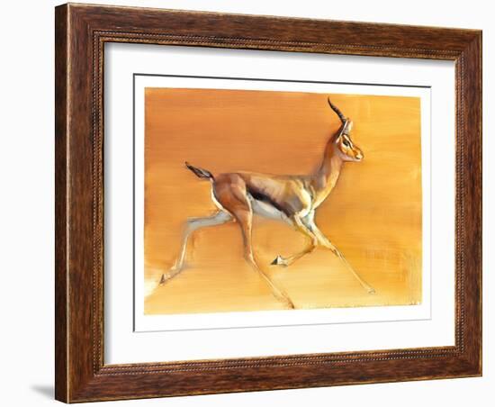 Arabian Gazelle, 2010-Mark Adlington-Framed Giclee Print