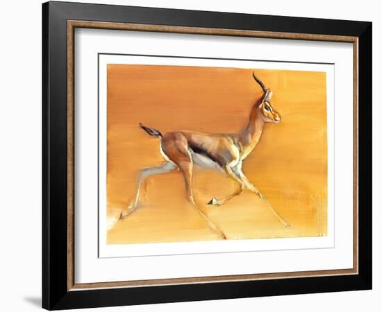 Arabian Gazelle, 2010-Mark Adlington-Framed Giclee Print