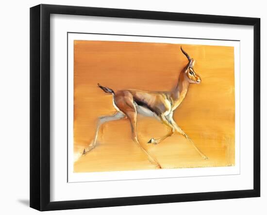 Arabian Gazelle, 2010-Mark Adlington-Framed Giclee Print