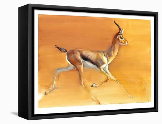 Arabian Gazelle, 2010-Mark Adlington-Framed Premier Image Canvas