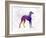 Arabian Greyhound in Watercolor-paulrommer-Framed Art Print