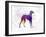 Arabian Greyhound in Watercolor-paulrommer-Framed Art Print