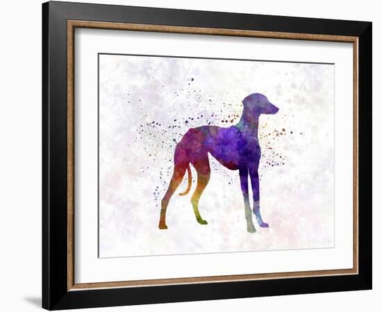 Arabian Greyhound in Watercolor-paulrommer-Framed Art Print