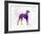 Arabian Greyhound in Watercolor-paulrommer-Framed Art Print