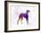 Arabian Greyhound in Watercolor-paulrommer-Framed Art Print