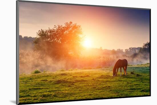 Arabian Horses Grazing on Pasture at Sundown in Orange Sunny Beams. Dramatic Foggy Scene. Carpathia-Leonid Tit-Mounted Photographic Print