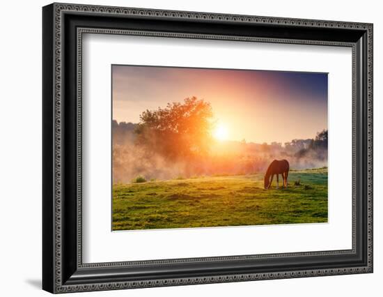 Arabian Horses Grazing on Pasture at Sundown in Orange Sunny Beams. Dramatic Foggy Scene. Carpathia-Leonid Tit-Framed Photographic Print