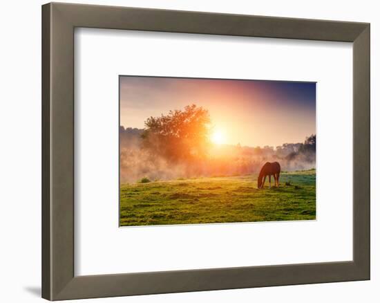 Arabian Horses Grazing on Pasture at Sundown in Orange Sunny Beams. Dramatic Foggy Scene. Carpathia-Leonid Tit-Framed Photographic Print