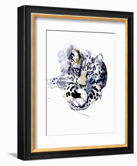 Arabian Leopard, 2008-Mark Adlington-Framed Giclee Print