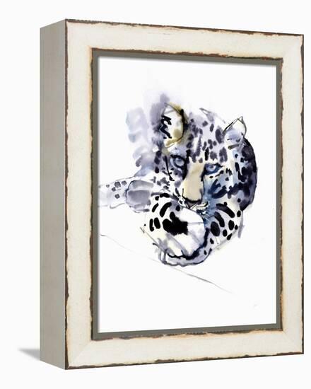 Arabian Leopard, 2008-Mark Adlington-Framed Premier Image Canvas