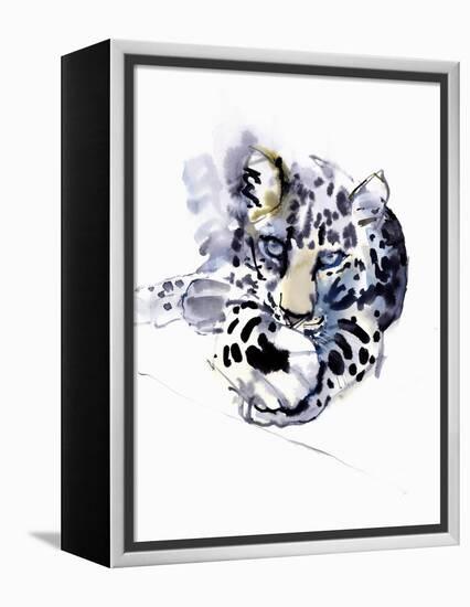 Arabian Leopard, 2008-Mark Adlington-Framed Premier Image Canvas