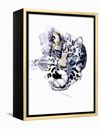 Arabian Leopard, 2008-Mark Adlington-Framed Premier Image Canvas