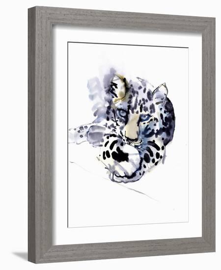 Arabian Leopard, 2008-Mark Adlington-Framed Giclee Print