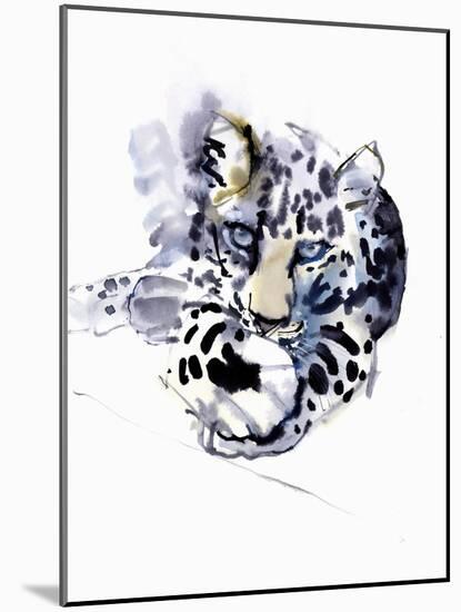 Arabian Leopard, 2008-Mark Adlington-Mounted Giclee Print