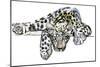 Arabian Leopard, 2008-Mark Adlington-Mounted Giclee Print