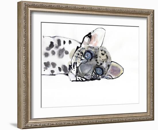 Arabian Leopard, 2008-Mark Adlington-Framed Giclee Print