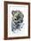 Arabian Leopard, 2008-Mark Adlington-Framed Giclee Print