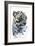 Arabian Leopard, 2008-Mark Adlington-Framed Giclee Print