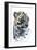 Arabian Leopard, 2008-Mark Adlington-Framed Giclee Print